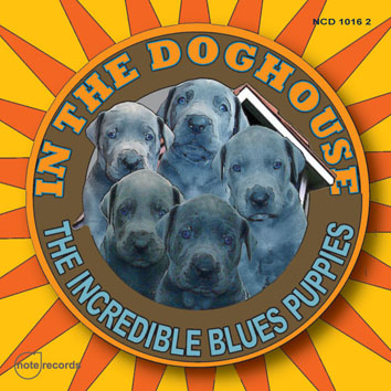 Dog House Cover
